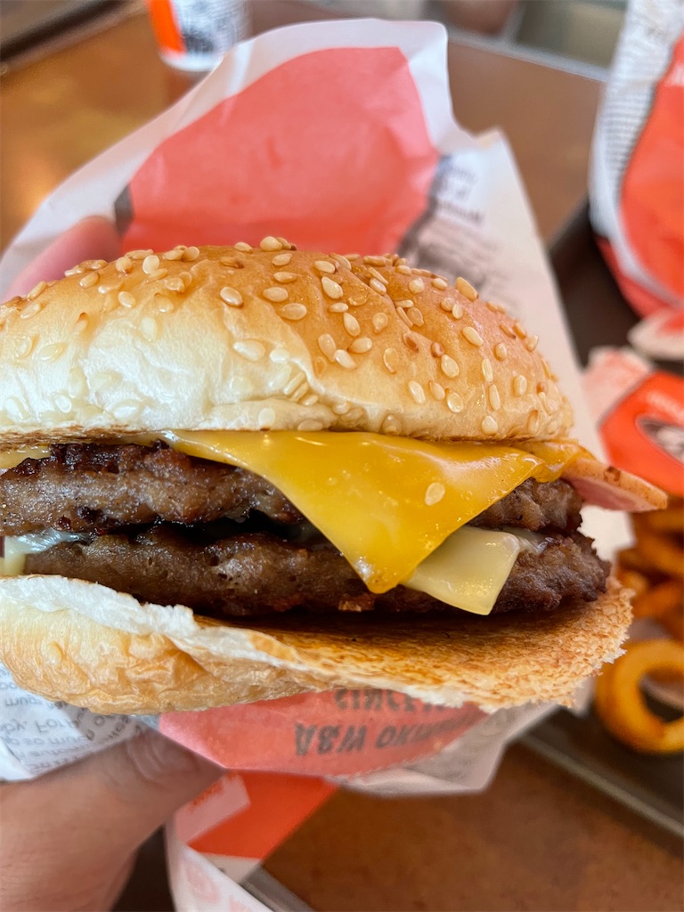 f:id:ideal_orange:20241006200727j:image