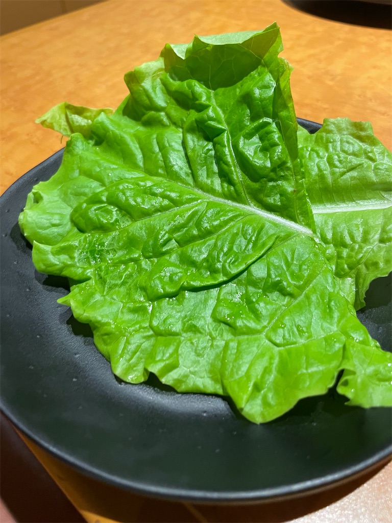 f:id:ideal_orange:20251115164011j:image