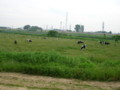 20100909200429