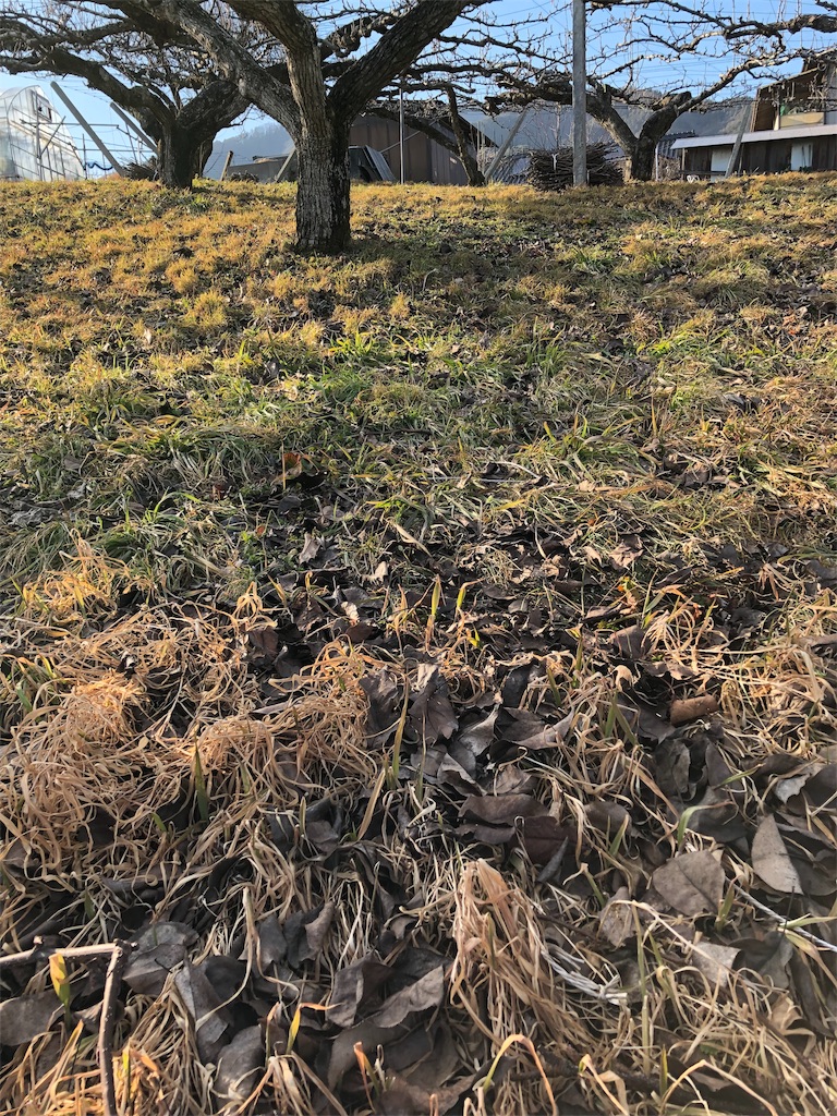 f:id:idecomshin1:20190206143332j:image