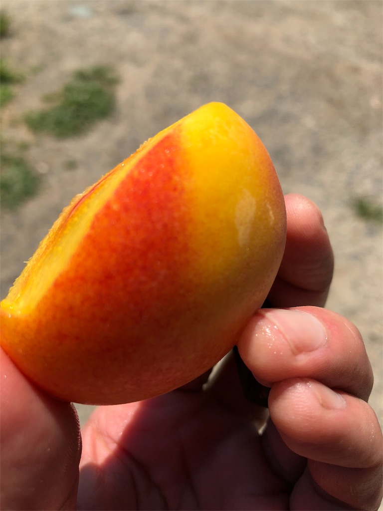 f:id:idecomshin1:20190208120620j:image