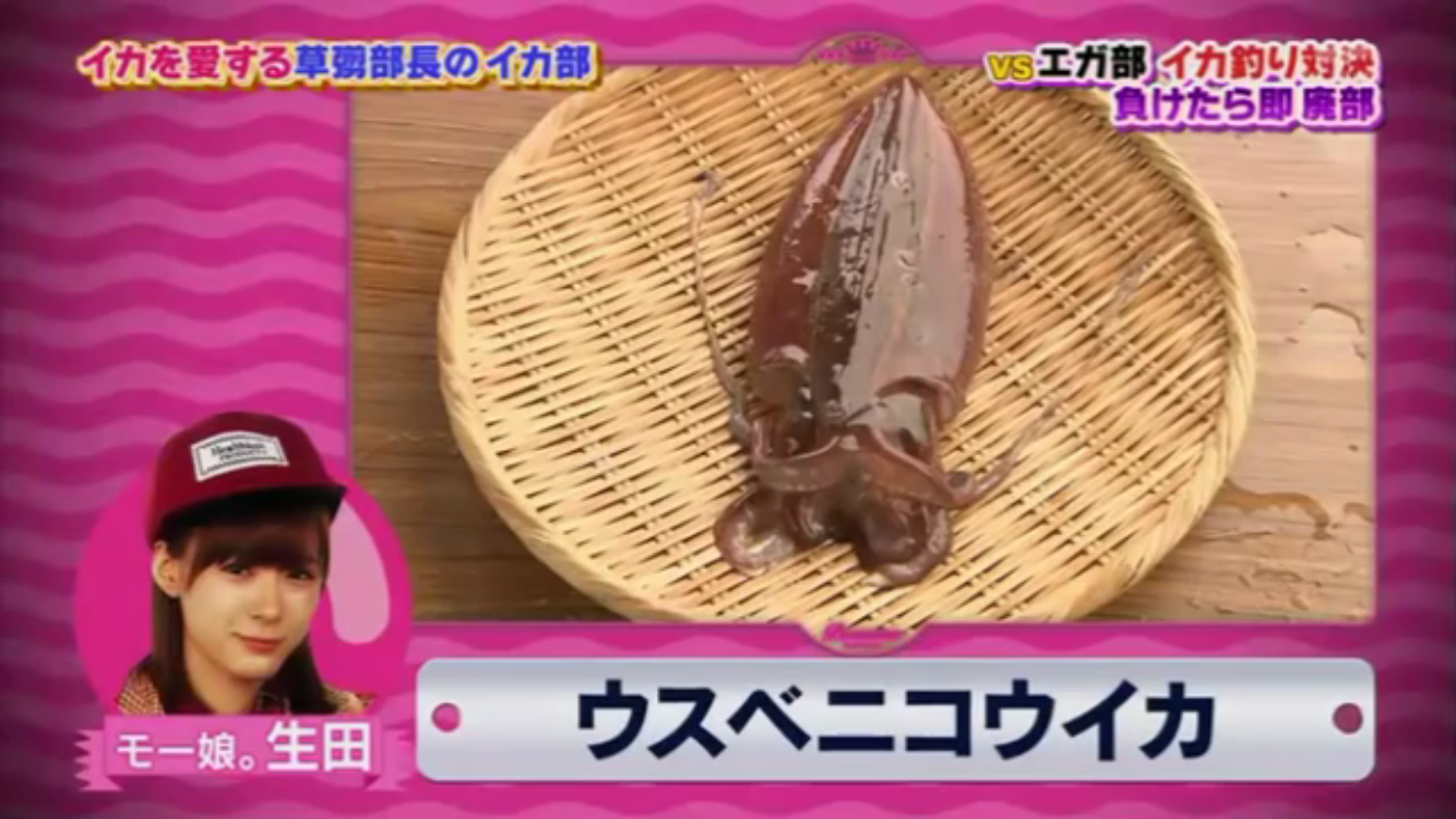 f:id:idehazuki:20160918093349p:image f:id:idehazuki:20160918093349p:image