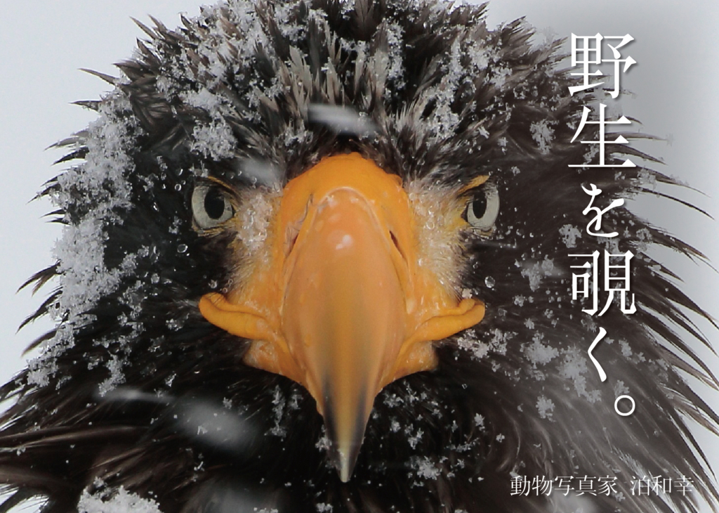 f:id:iden0911:20151021181457j:plain f:id:iden0911:20151021181457j:plain