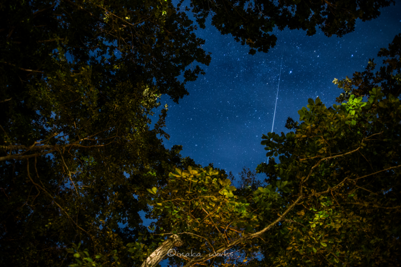 白老町トビウキャンプで見たながれ星 白老町トビウキャンプで見たながれ星