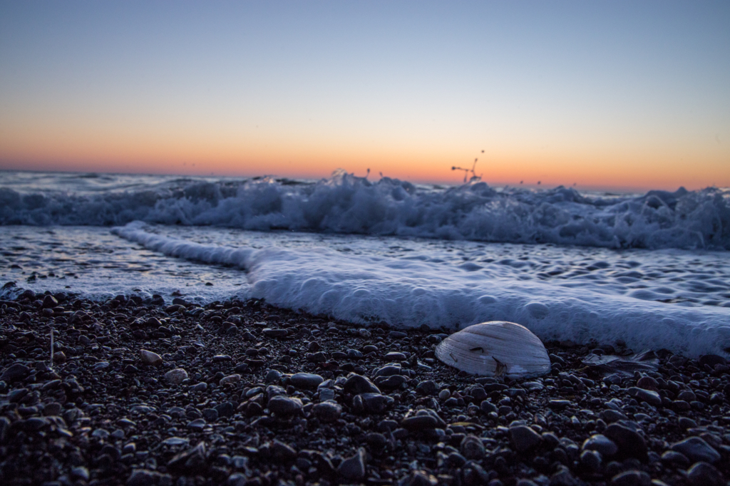 f:id:iden0911:20160921174844j:plain f:id:iden0911:20160921174844j:plain