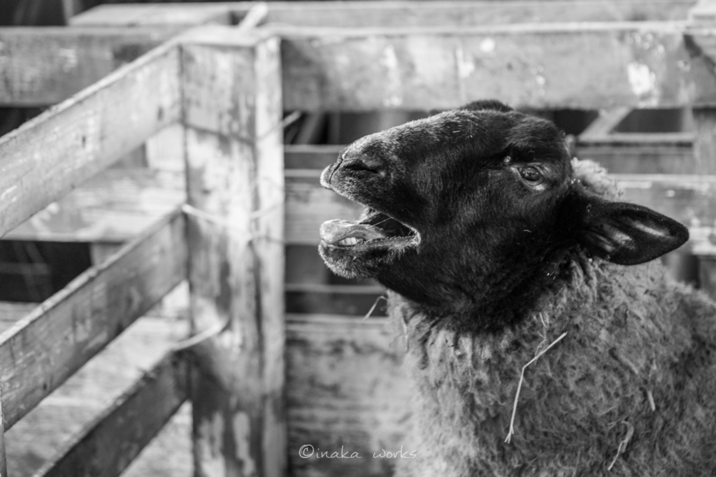 f:id:iden0911:20170126122048j:plain f:id:iden0911:20170126122048j:plain