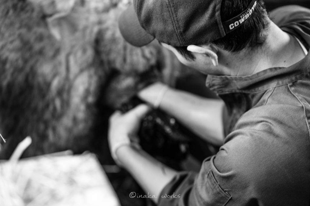 f:id:iden0911:20170126123420j:plain f:id:iden0911:20170126123420j:plain