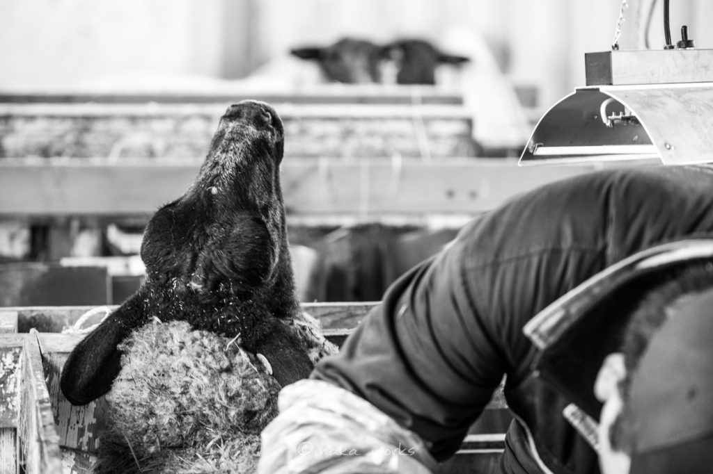 f:id:iden0911:20170126123429j:plain f:id:iden0911:20170126123429j:plain