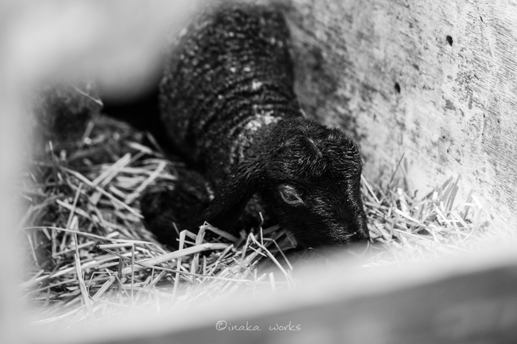 f:id:iden0911:20170126125303j:plain f:id:iden0911:20170126125303j:plain