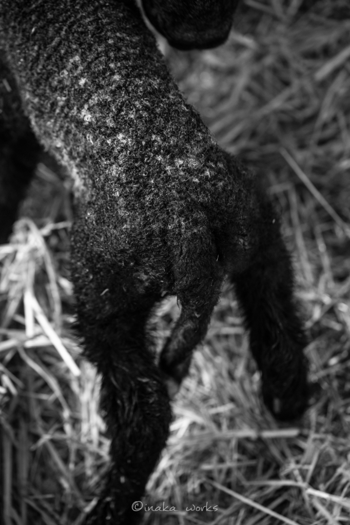 f:id:iden0911:20170126131519j:plain f:id:iden0911:20170126131519j:plain