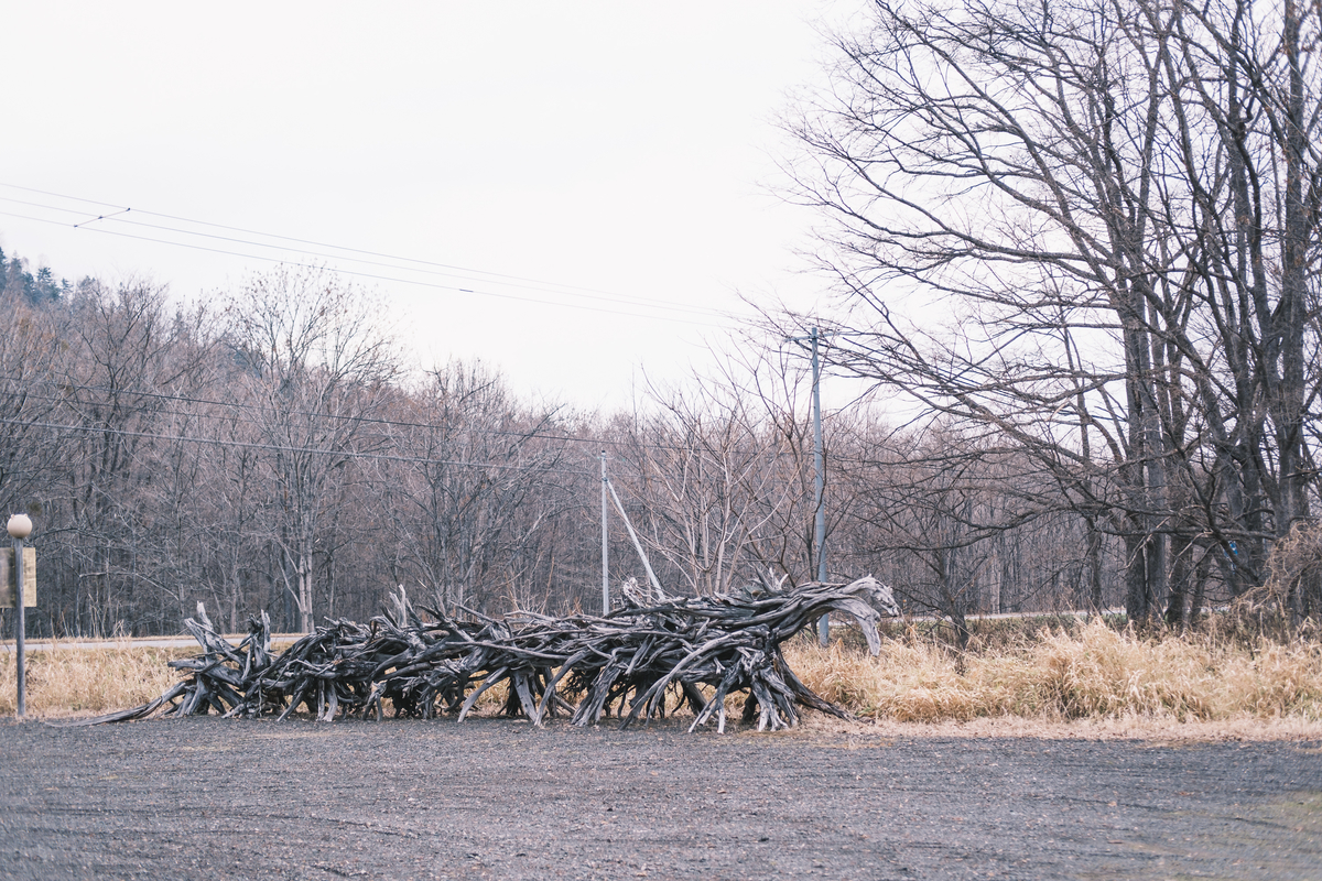 f:id:iden0911:20201116141512j:plain