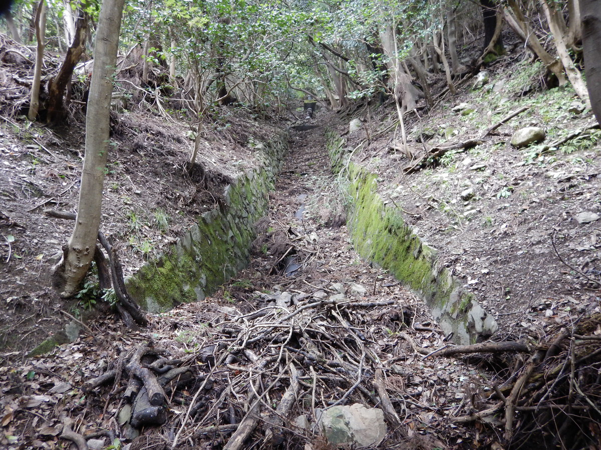 f:id:iden1123:20191119201308j:plain