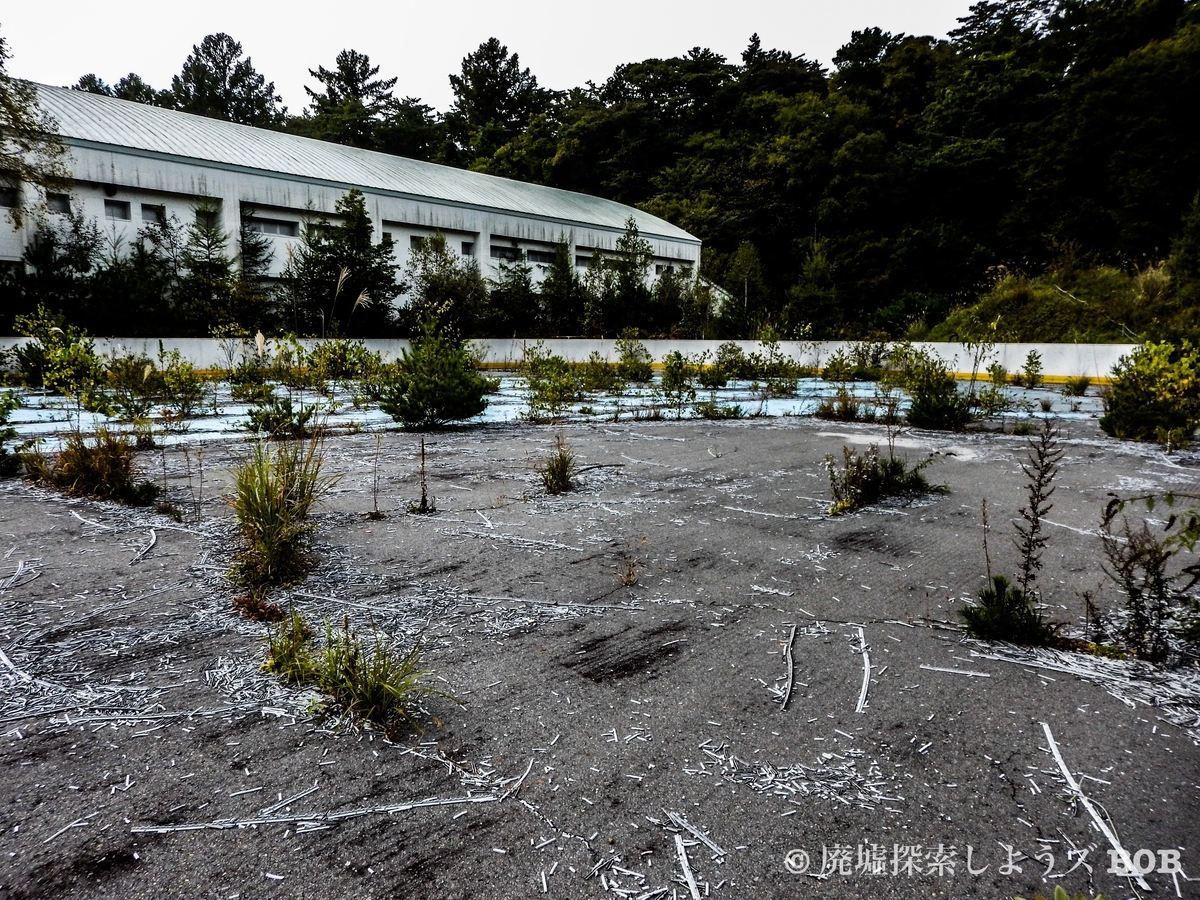 f:id:iden1123:20191126223534j:plain