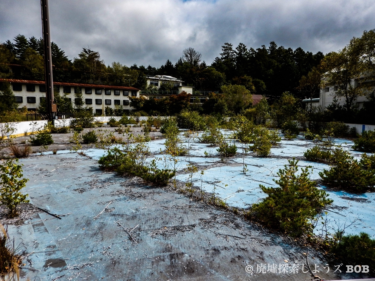 f:id:iden1123:20191126223620j:plain