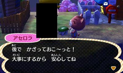 あつ森 アセロラ どう森 ポケ森 f:id:ideon0330:20130409193729j:plain