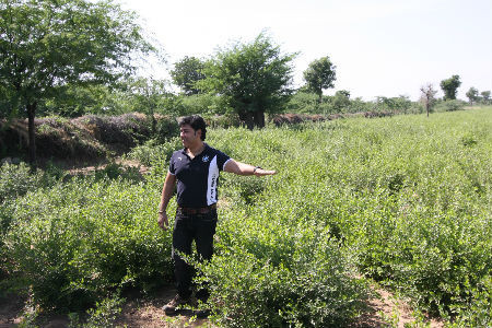 f:id:idhomehenna:20200722152428j:plain