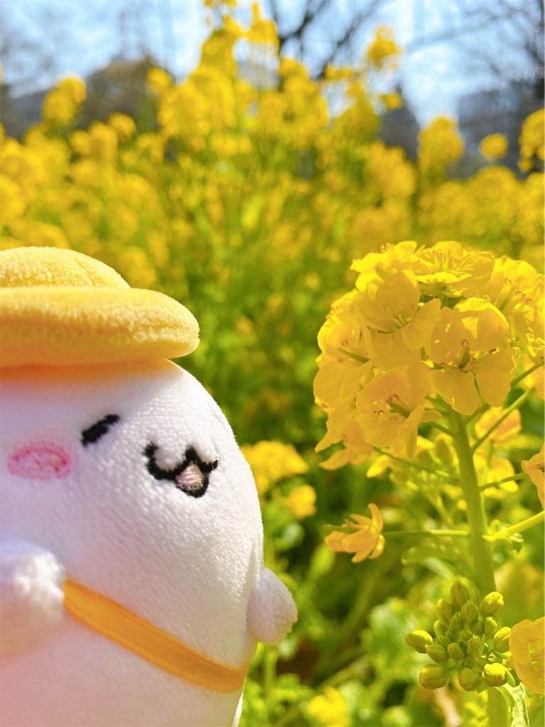 f:id:idol8er:20210801164317j:image