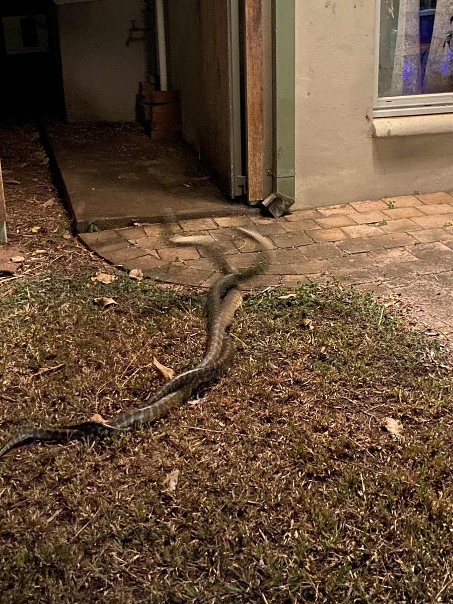 f:id:idreamseeker:20210823225521j:plain