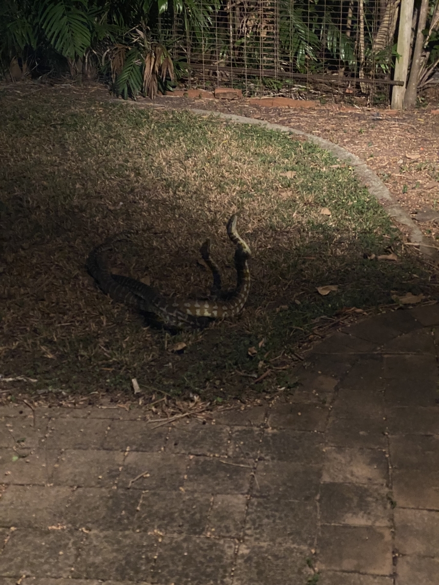 f:id:idreamseeker:20210823225628j:plain