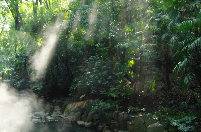 f:id:idwcufds:20161231180947j:plain