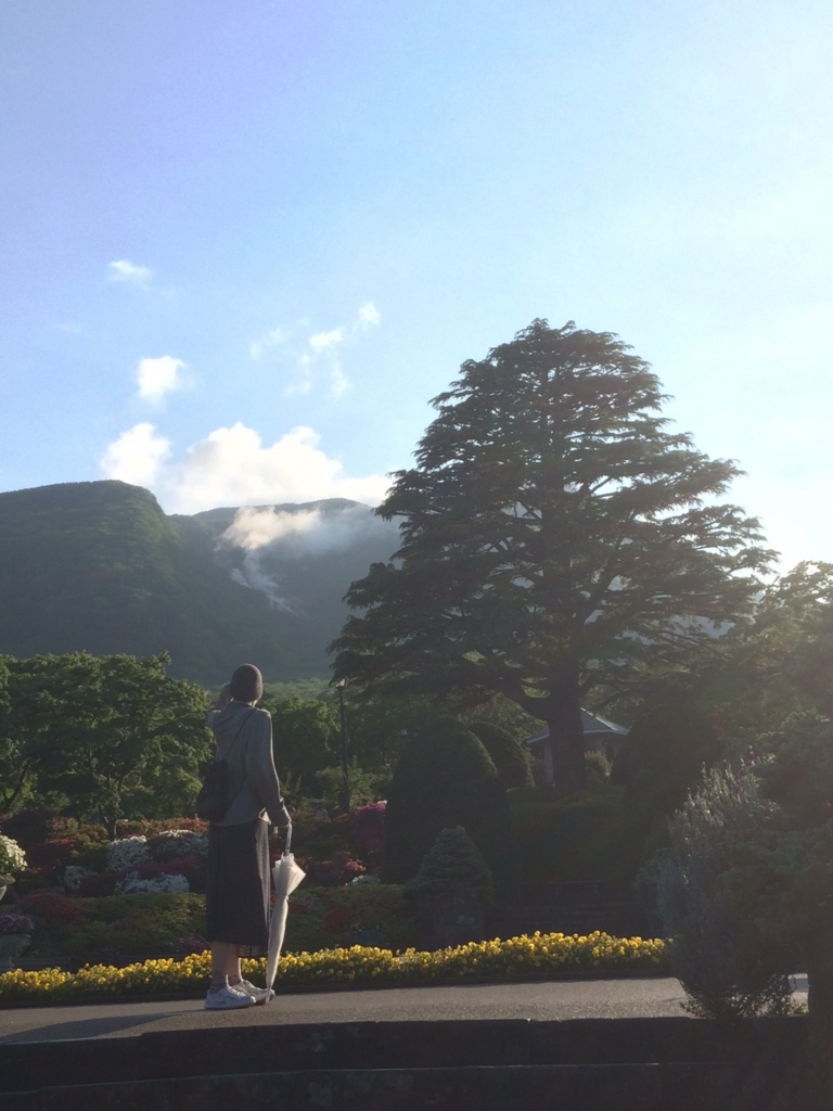 f:id:idwcufds:20170525150330j:plain