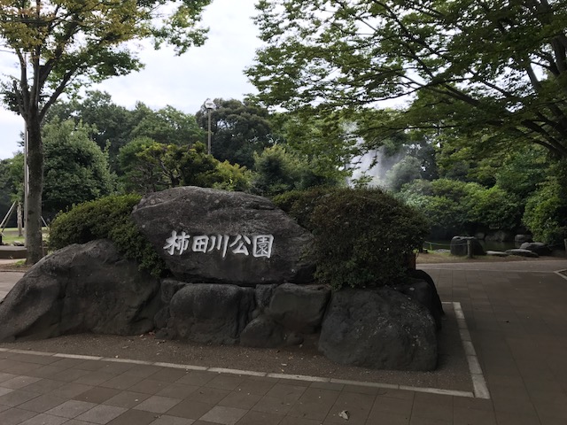 f:id:idwcufds:20170916003840j:plain