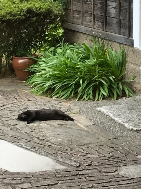 f:id:idwcufds:20170916010745j:plain