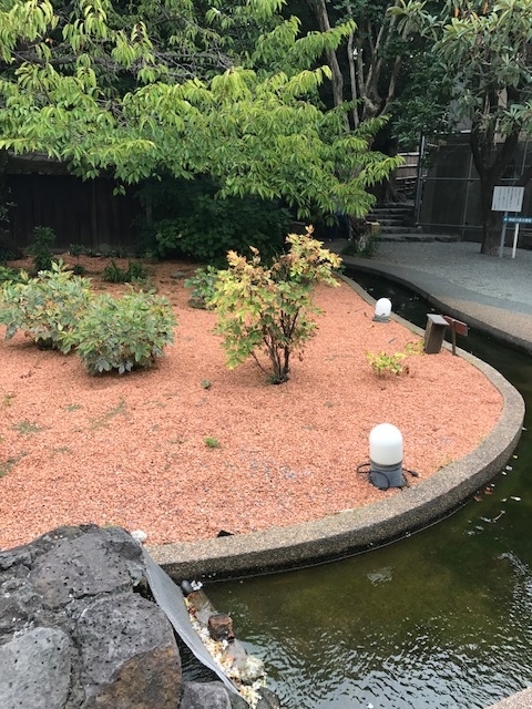 f:id:idwcufds:20170916011103j:plain