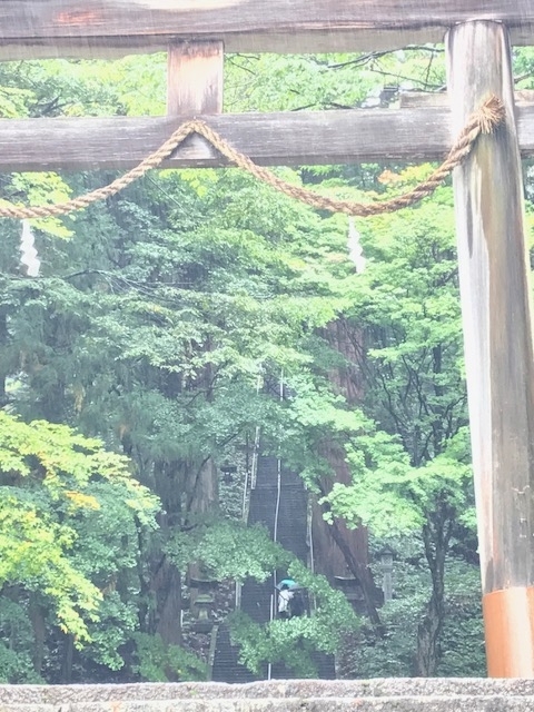 f:id:idwcufds:20171112224903j:plain