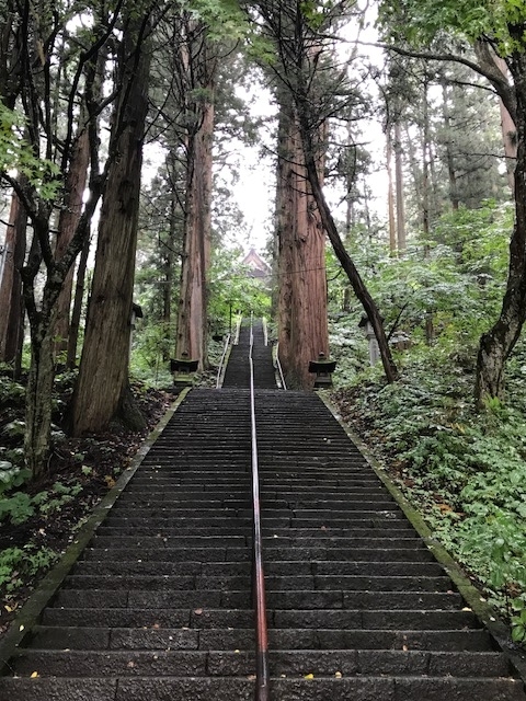 f:id:idwcufds:20171112224935j:plain