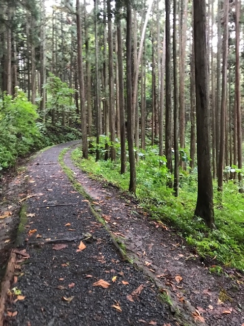 f:id:idwcufds:20171112231401j:plain