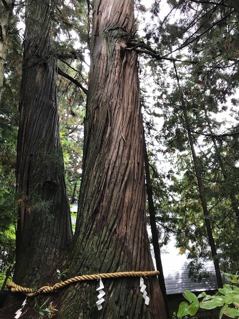 f:id:idwcufds:20171112232248j:plain