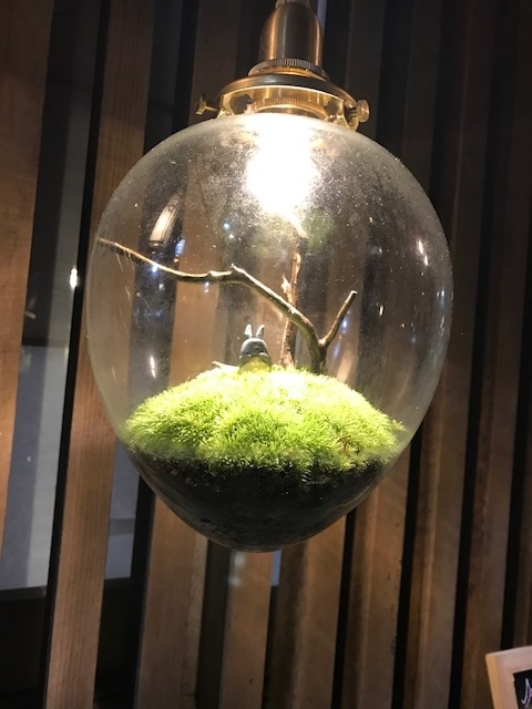 f:id:idwcufds:20171116130704j:plain