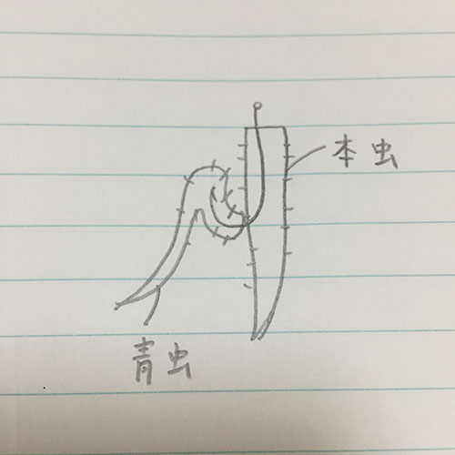 f:id:ie-kau:20160105224123j:plain f:id:ie-kau:20160105224123j:plain
