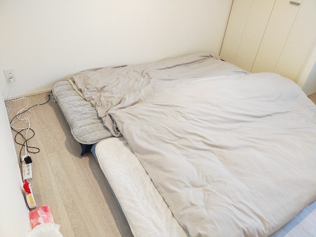 f:id:ieako:20220112141148j:plain