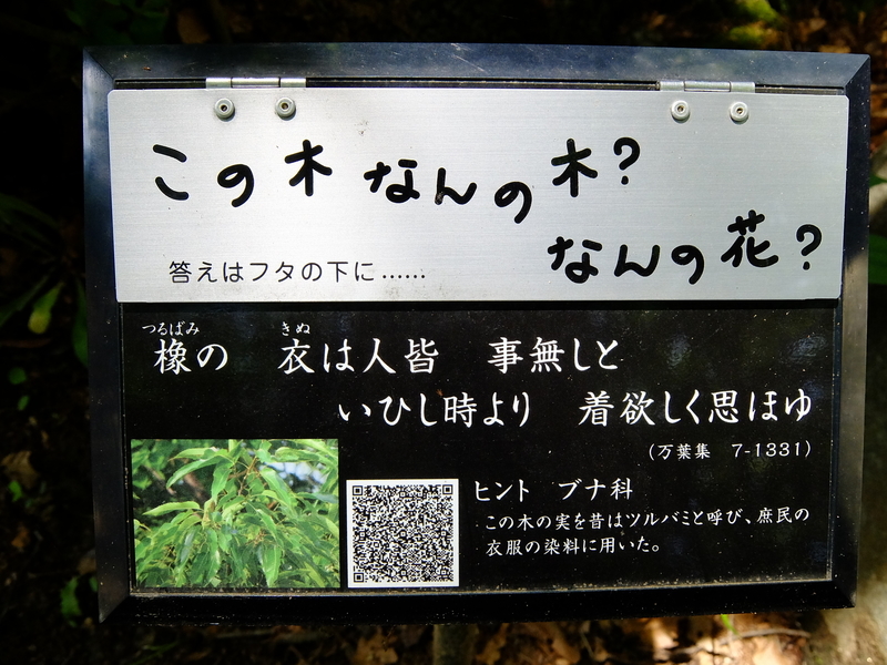 f:id:iechiko:20210505100922j:plain