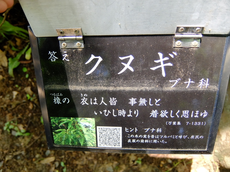 f:id:iechiko:20210505100937j:plain