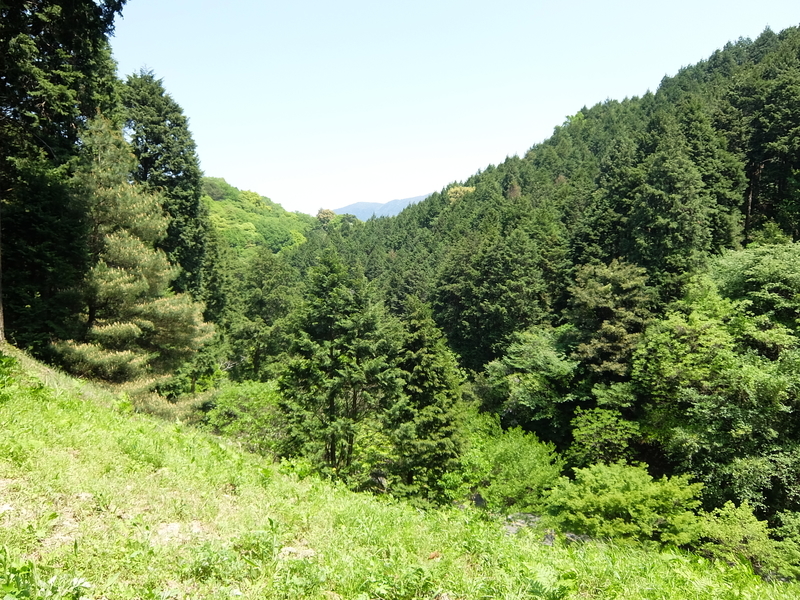 f:id:iechiko:20210509150347j:plain