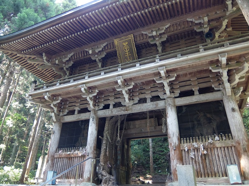 f:id:iechiko:20210807200836j:plain