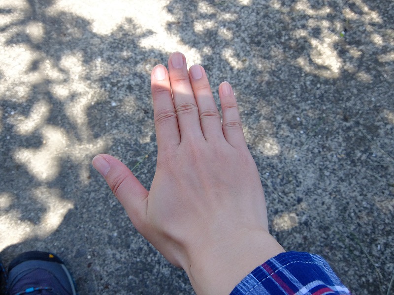 f:id:iechiko:20210902171633j:plain