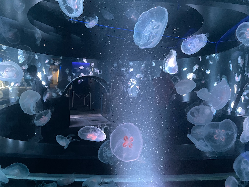 f:id:iechiko:20220408075525j:image f:id:iechiko:20220408075525j:image