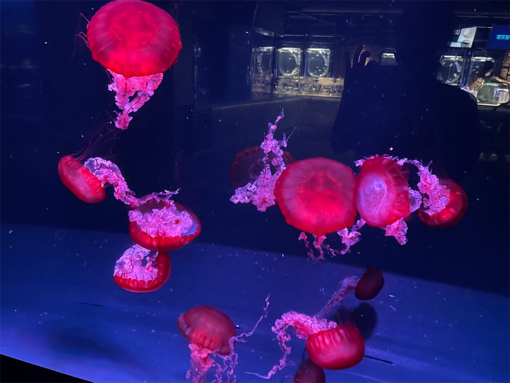 f:id:iechiko:20220408075537j:image f:id:iechiko:20220408075537j:image