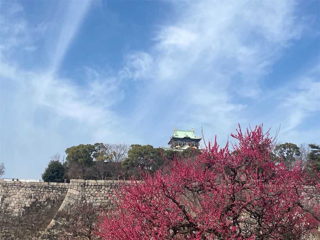 f:id:iechiko:20230308100015j:image