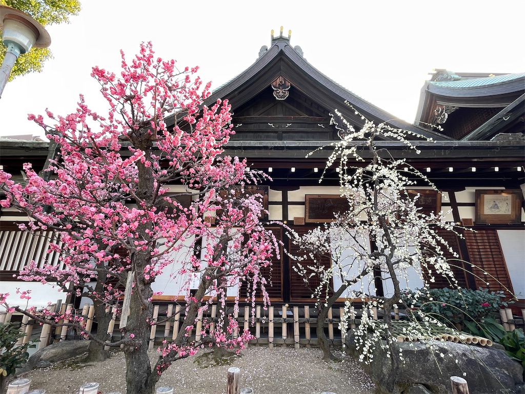 f:id:iechiko:20230308104102j:image