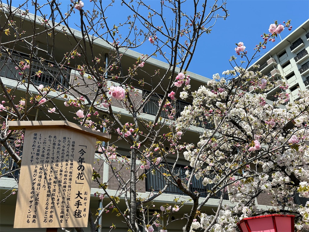 f:id:iechiko:20240410124505j:image