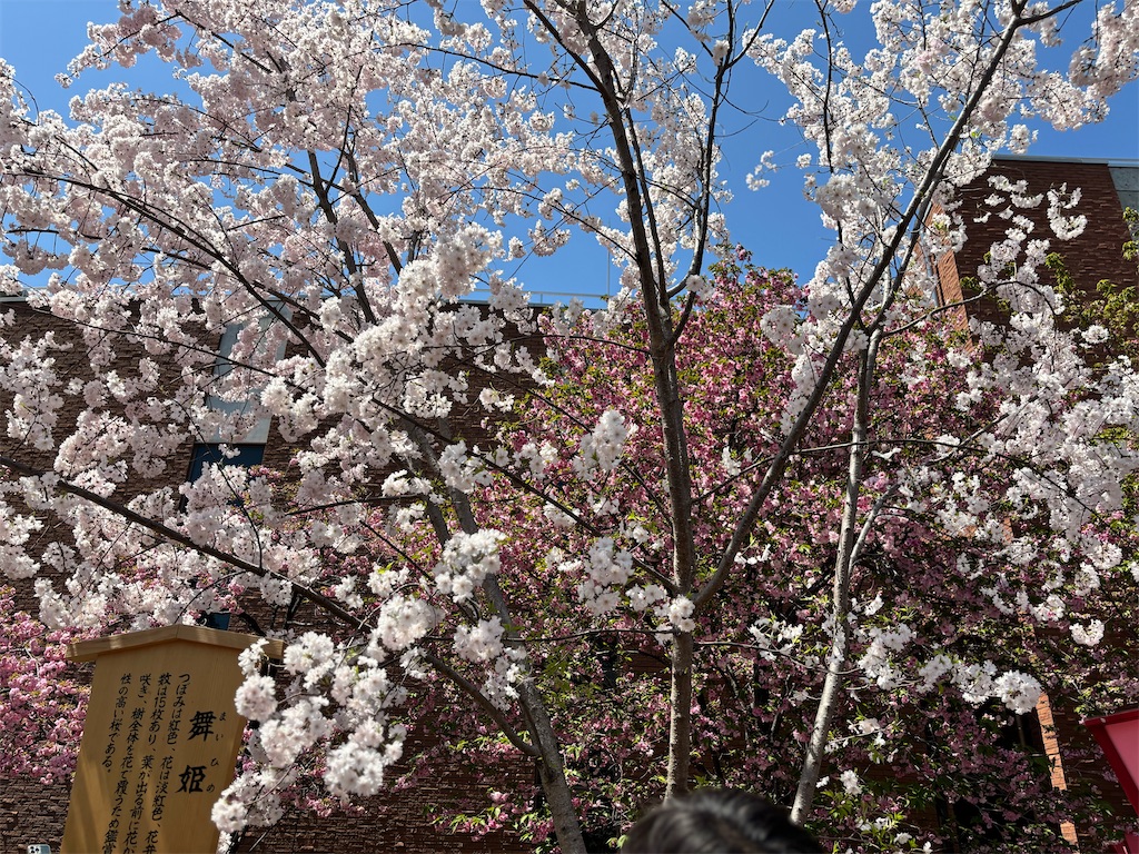f:id:iechiko:20240410124749j:image