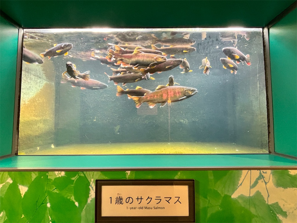 f:id:iechiko:20241003113558j:image