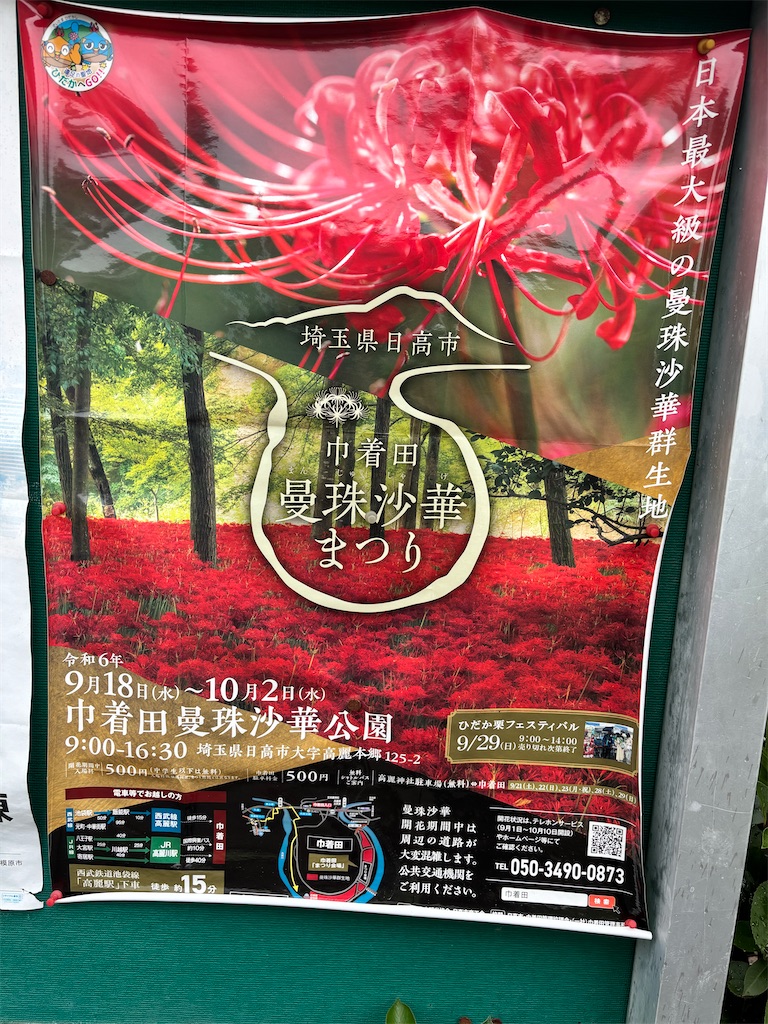 f:id:iechiko:20241006182427j:image