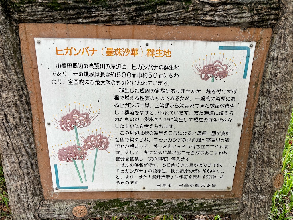 f:id:iechiko:20241006182435j:image