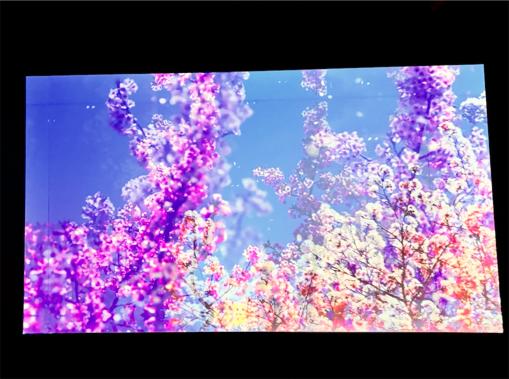 f:id:iechiko:20250131175625j:image
